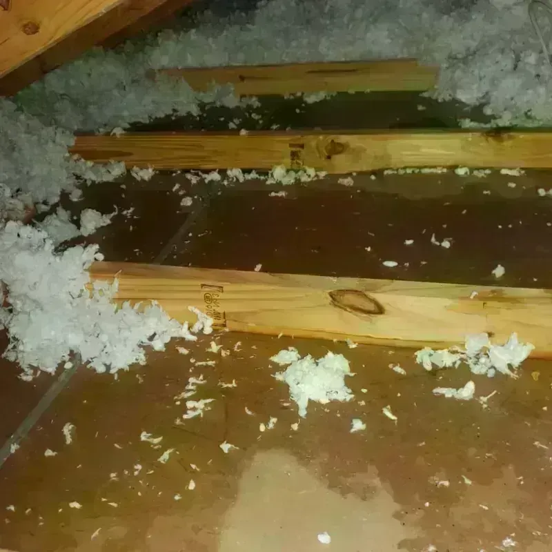 Attic Water Damage in Lorain County, OH