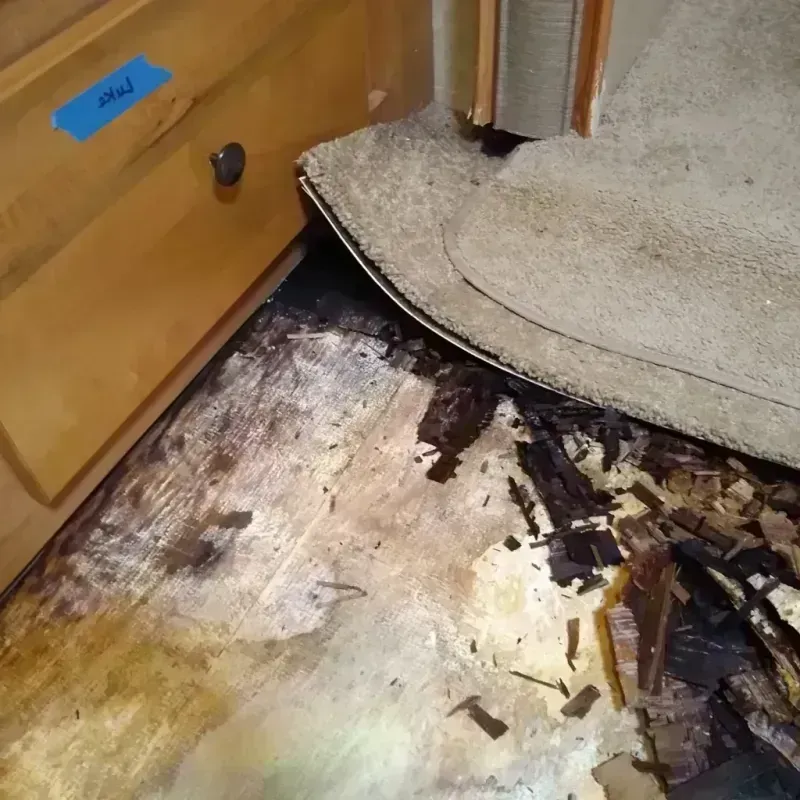 Wood Floor Water Damage in Lorain County, OH